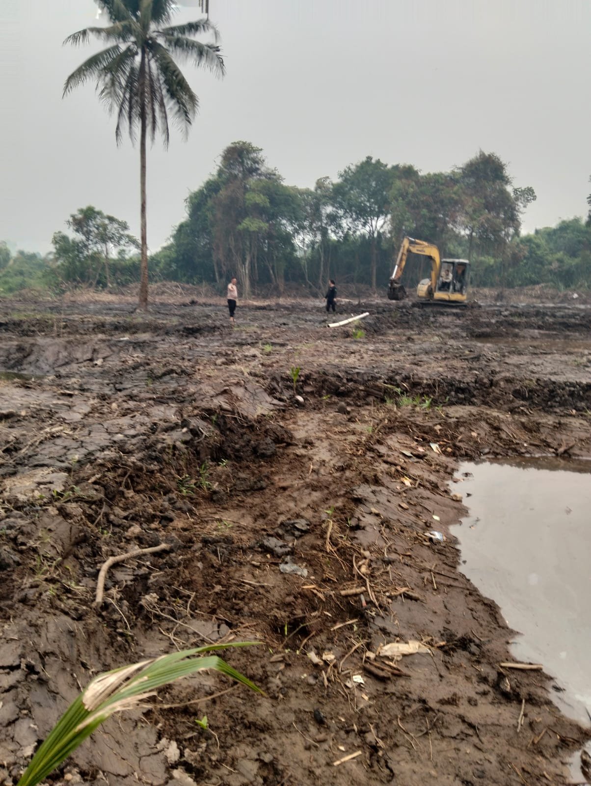 Kapolsek Pontianak Timur Sulap Lahan Tidur Jadi Kolam Ikan dan Lahan Produktif Warga